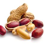 Verwendung von Erdnüssen im Erdnussöl