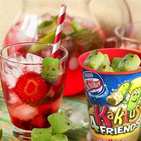 Kaktus 4 Friends Froneri Scholler